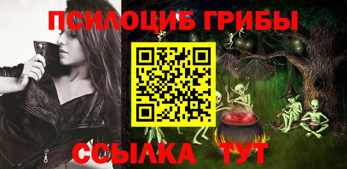 Черногорск  Галлюциногенные грибы Magic Shrooms  Вход с VPN 