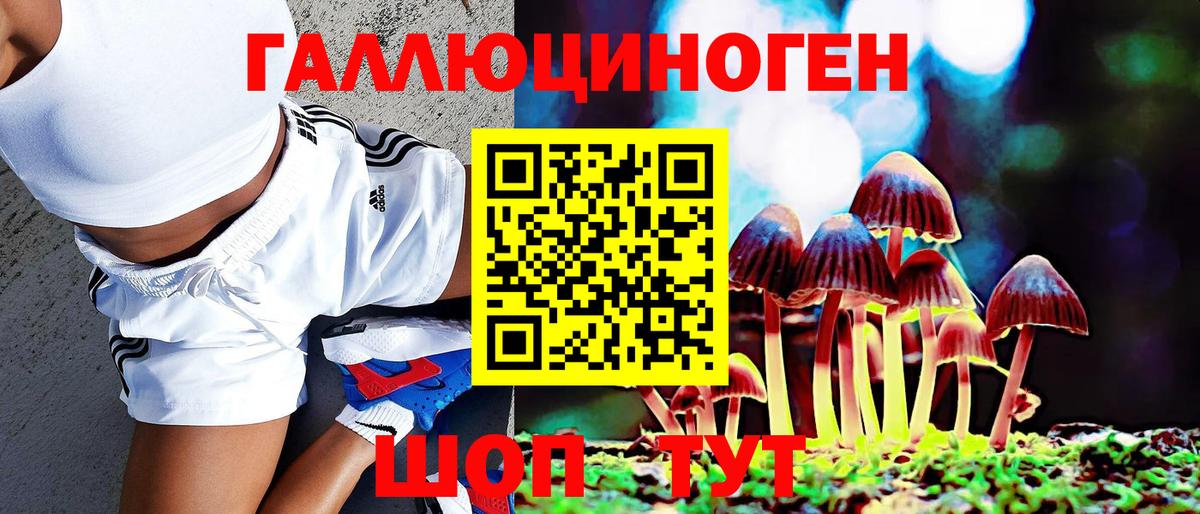 Галлюциногенные грибы Cubensis Черногорск